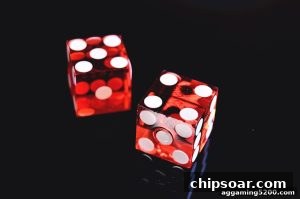 AG真人 chipsoar